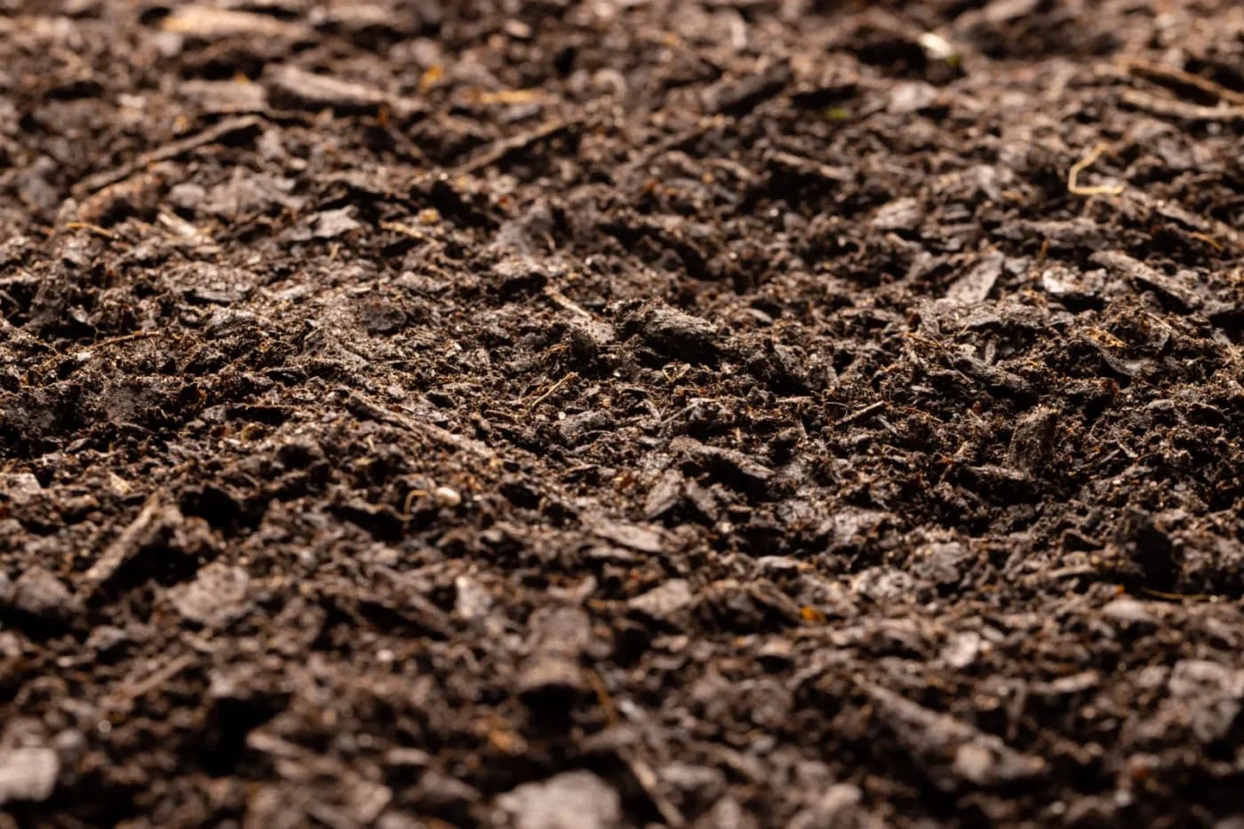 Close-up of screened dark topsoil